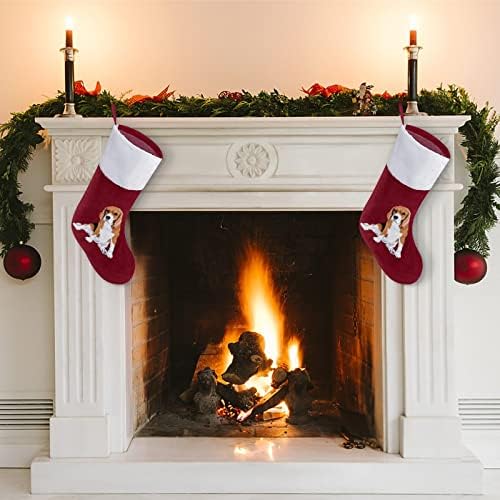 Горда Бигл Смешно Божиќно порибување со кратки кадифони манжетни Божиќни чорапи за камин што виси семеен празник
