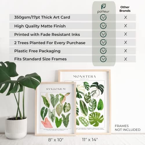Сет на постери за растенија од 4 нерасположени - ботаничка wallидна уметност - растителни работи - Зелена wallидна уметност - растителна wallидна