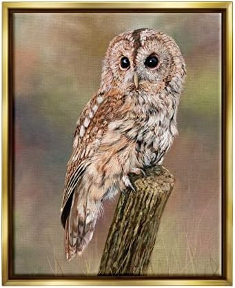 Sumbell Industries Brown Tawny Owl искривена сложена шумска слика за животински свет, кој лебдеше врамена wallидна уметност, дизајн