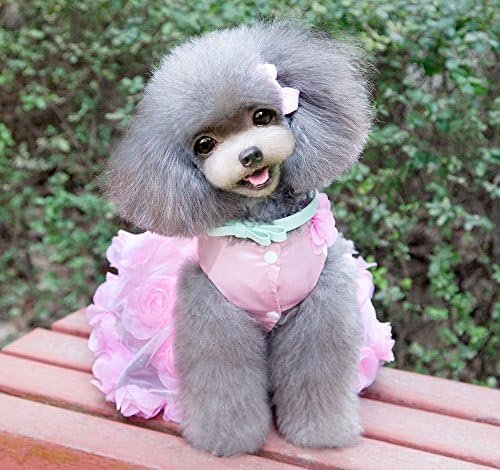 Smalllee_lucky_store миленичиња венчаница со мали кучиња со роденденска забава костум костум сатен розови бисери девојки формална фустан