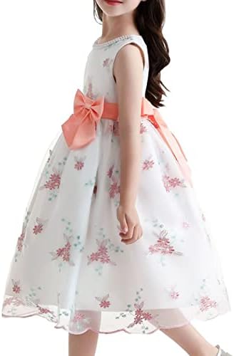 Везено фустанче за фустани, принцеза Туту девојки облекуваат мали девојчиња лето извезено 4 годишно девојче роденденски подароци