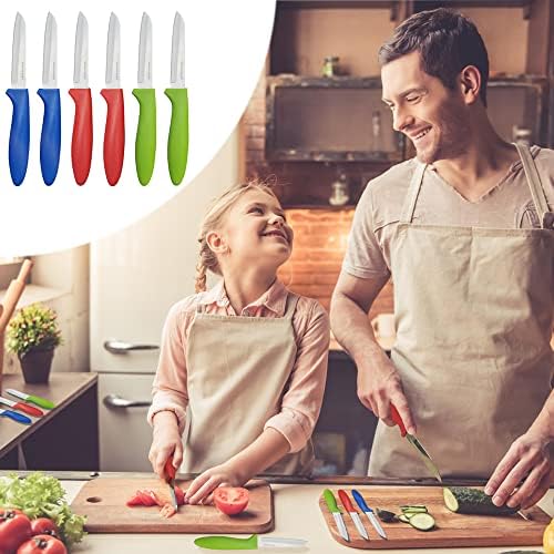 Комплет за ножеви за паринг од 6 парчиња, 3,5 инчи од не'рѓосувачки челик овошје и зеленчук ножеви, удобна рачка со црвена/зелена/сина