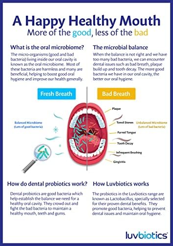 Оригинална паста за заби со пробиотици и ксилитол промовира здрав орален микробиом за свеж здив, здрави непца и заби. 75мл цевка