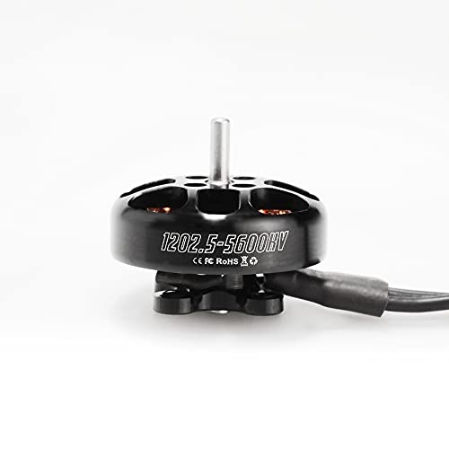 HGLRC 1PCS 1202.5 11600KV 1S 2S FPV без четка мотор за FPV Racing Micro Whoop Chapter Drone Drone