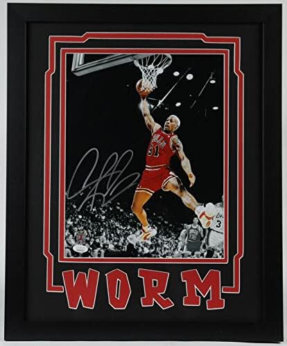 Денис Родман потпиша автограмирана 11x14 врамена фотографија JSA автентични бикови 6 црви - автограмирани НБА фотографии