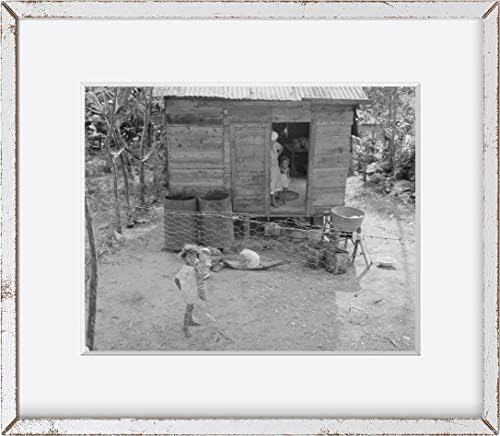 Бесконечни фотографии Фото: Бајамон, Порто Рико | Деца во дворот | 1941 | Историска репродукција на фотографии