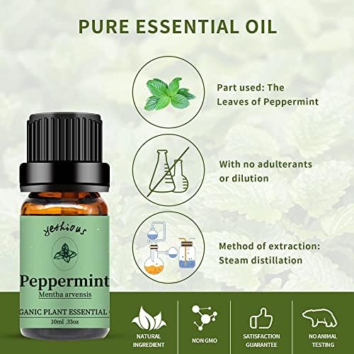 Пеперминт есенцијално масло органско природно и чисто + енергетска ролна на сет на мешавина од есенцијално масло - масло