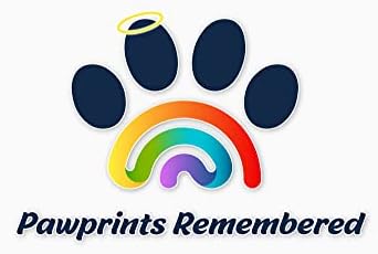 Pawprints Запаметен Миленичиња Меморијал 5x7 Рамка За Слика За Куче Или Мачка Со Лента И Ознака-Карактеристики Преклопна Фото Рамка И