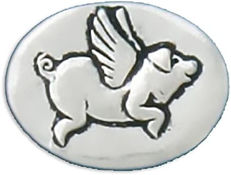 Основна духовна монета за токени за џеб - летачка свиња/сè е можно - рачно изработена пикара, loveубовен подарок за мажи и жени,