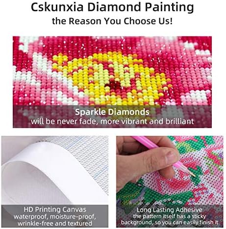 Cskunxia 4 пакуваат комплети за сликање со дијаманти за возрасни 5д дијамантски уметнички слики комплети DIY целосна вежба дијамантска