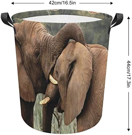 Кошница за перење Foduoduo Диви слонови кои играат природа јужноафрикански животни, алишта за перење со рачки што се преклопуваат со