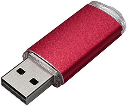 Vicfun 10 пакет 2 GB USB Flash Drives 2 GB Flash Drive Pack USB 2.0 USB меморија стап-црвена