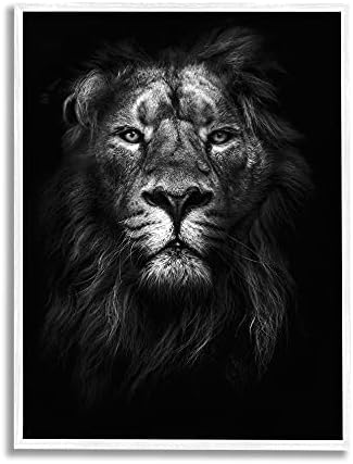 СТУПЕЛ ИНДУСТРИИ Крал на џунглата Лав во сенки бела фотографија црна врамена wallидна уметност, 24 x 30, мулти-боја