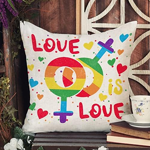 Loveубовта е Loveубов Виножито геј пол фрли перница, романтична перница кутија геј гордост виножито ЛГБТ исти секс геј перница покритие
