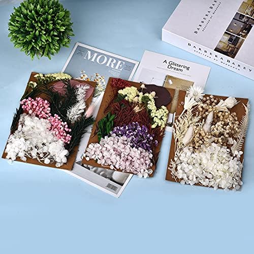 Даларан 5 пакет суви притиснати цвеќиња за смола и свеќа што прават повеќе природни притиснати цвеќиња Шарени декоративни сушени цвеќиња