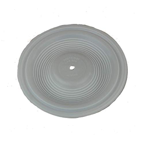 N02-1010-55 Дијафрагма, PTFE го заменува Wilden P/N 02-1010-55