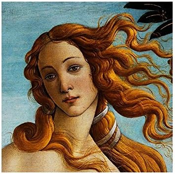 АЛОНЛИН АРТ - Венера од Сандро Ботичели | Бука врамена слика отпечатена на памучно платно, прикачена на таблата со пена | Подготвени