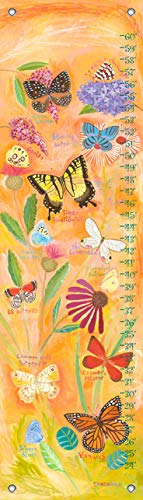 Егзотични пеперутки на Опси Дејзи од графиконите за раст на Дона Ингемансон, 12 на 42-инчи