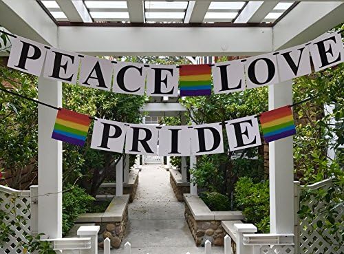 Мир, loveубов, банер на гордоста - тематско знаме на геј гордоста, боја на виножито - геј, лезбејски, декорација на ЛГБТ партија