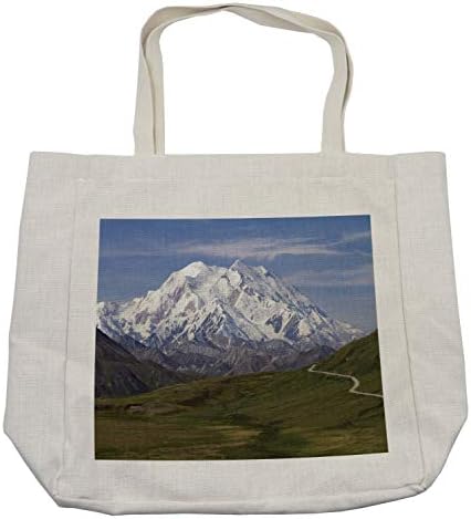 Торба за купување кесичка на Амбесон Алјаска, планина Мекинли во Националниот парк Денали во Сценски пејзаж во Алјаска, еколошка торба за еднократна употреба за пл