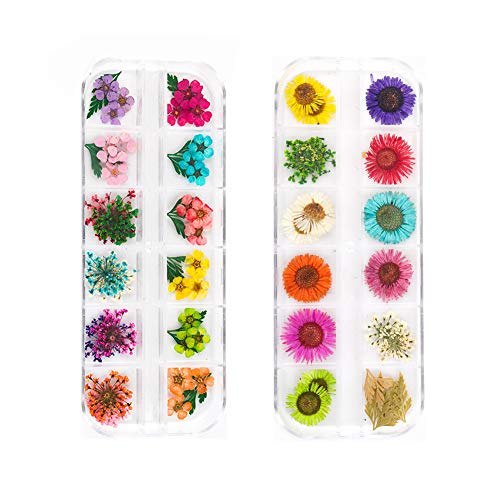 Уромин исушени цвеќиња за нокти дизајн Декорација за украсување вистински природни цвеќиња маникир за нокти за украсување 2 кутии 24 бои