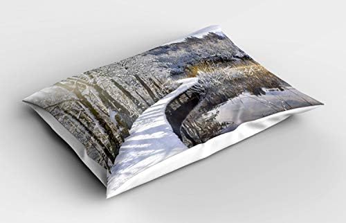 Амбесон Зимска Перница Шам, Вистинска Слика На Шеталиште Покриено Со Снег Во Шума Со Рефлексии На Езерото, Украсна Стандардна Големина Печатена