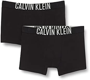 Калвин Клајн со 2-пакувања Бого-боксерски боксерски стебла, црна/сребро