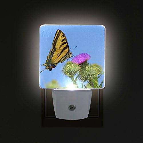 Нананл сет од 2 пеперутка на ластовичка на трн цвет виолетова глуварче со сино небо пролет цветен дизајн автоматски сензор LED самрак до