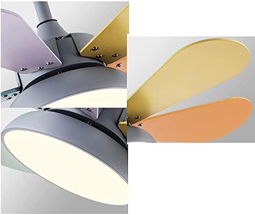 Вентилаторот на таванот Cutyz со светла, модерна светлина на вентилаторот на LED таванот со далечински управувач, ламба за вентилатор