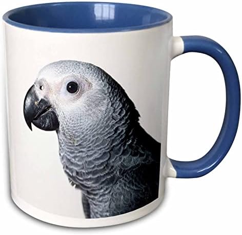 Птици од 3дози - африкански сив папагал - чаши