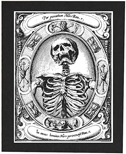 Мементо мори платно печатење или назад лепенка - Александар Мајер Запомнете го Смртниот череп окултен готски скелет Средновековниот Дансе