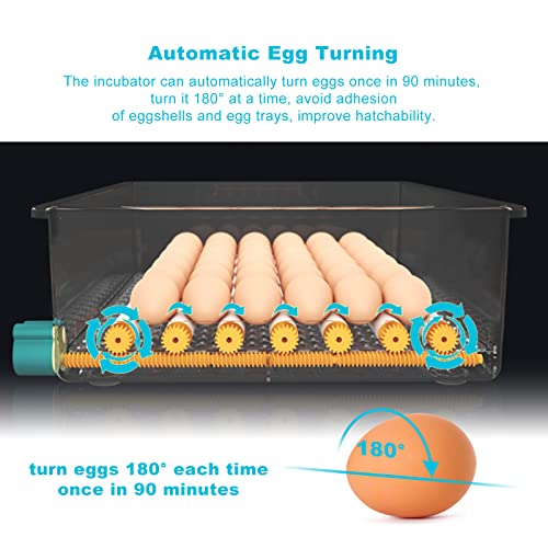 16 Јајца Инкубатори За Јајце За Ведење, Јајца За Автоматско Вртење, Гаранција За Двојна Моќност, Инкубатор За Јајца Од Патка Од