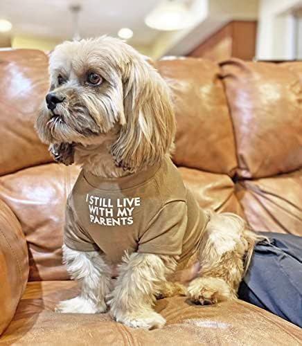 Пакет: Големина на маица за кучиња XL + клипови за коса на кучиња