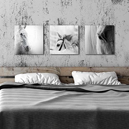 Спална соба коњско платно wallидна уметност: 3 парчиња црна бела фарма на животни слики модерни фарма куќа коњички портрети слики сиви