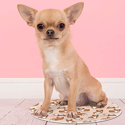 Heoeh Cartoon Dog Cute Corgis Model, Non Slip Doormat 15,7 Тркалезна површина теписи килими за деца спална соба бебе соба игра соба расадник