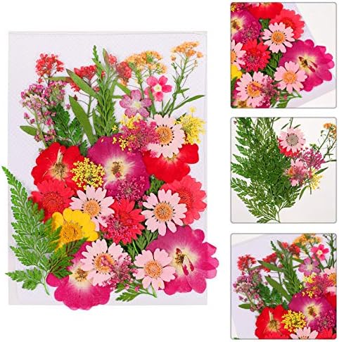Забележете 40 парчиња сушени притиснати цвеќиња мешани лисја и ливчиња притиснати цвеќиња за смола, измешан повеќекратен сув цвет за
