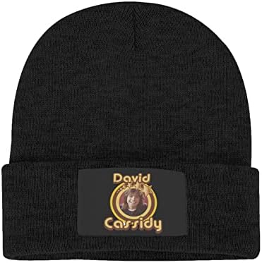Рокјада Дејвид Касиди плетена капа Унисекс Зимска скијачка капа, топло плетено капаче Деним капа Бејзбол Чапе