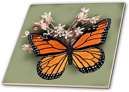 3dRose ct_212839_1 Монарх Пеперутка &засилувач; Розова Млечна Трева Керамичка Плочка, 4