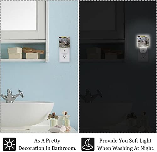 LED Rodailycay LED автоматски самрак на сензори за сензори, 2 пакувања приклучок за ноќно светло за бања, спална соба, детска соба, ходник, скали, расадник, кујнски јагниња шт