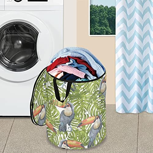 Птица се појавуваат алишта за алишта со капакот за складирање на капакот што може да се склопи за перење за пикник за патувања во стан