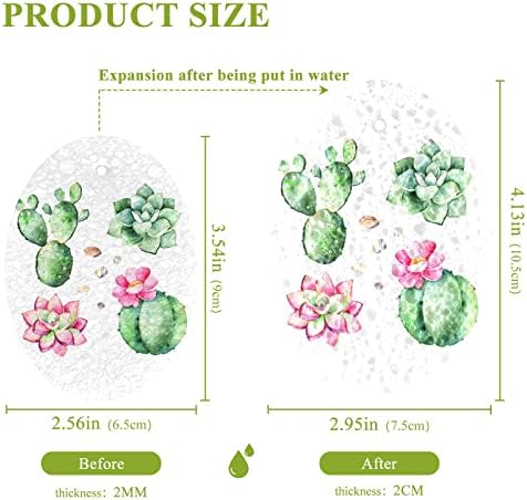 Алаза кактус кактуси сукулентни растенија Природни сунѓери кујнски целулоза сунѓер за миење садови за миење бања и чистење на домаќинствата,