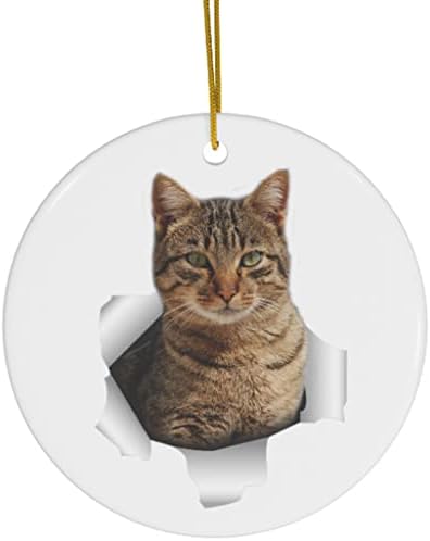 Смешна таби мачка кафеава одете иако куќи подароци 2023 украси за новогодишна елка кружат керамика