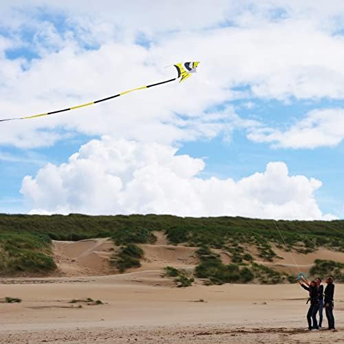 Kaiciuss Delta Kite за деца и возрасни лесен за летање голем, најлесниот змеј со единечна линија на плажа, доаѓа со рачка од 300 метри