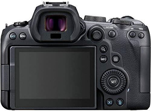 Канон EOS R6 без огледална дигитална камера со леќи од 24-105mm f/4-7.1, мемориска картичка од 64 GB, Case, Corel Photo Software, LPE6 батерија,
