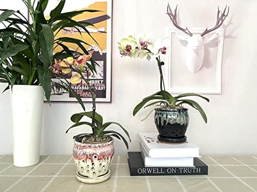Садови за орхидеи со дупки 4,33 инчи керамички орхидеи пластери бели и црни