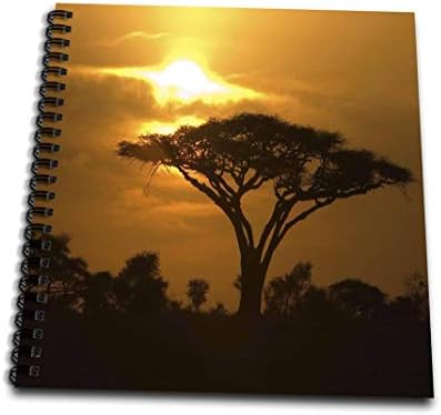 3DROSE DB_173294_2 Трн чадор дрво на африкански рамнини на зајдисонцето Тропска ноќна сцена-меморија, 12 од 12-инчи