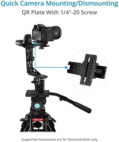 Proaim 2-Оска Електронски Моторизирани Пан Навалување Главата ЗА Dslr Камера Кран Стрела Рака Тежина Капацитет До 3kg/6.6 lb | Совршен