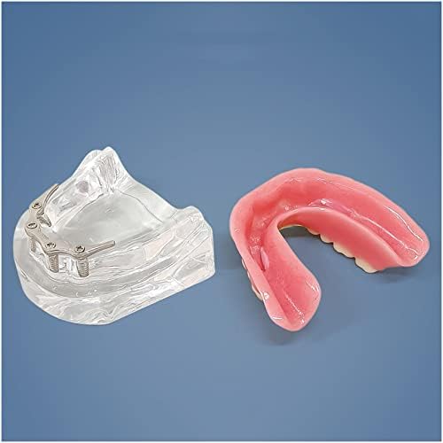 KH66ZKY Typodont Реставрација модел на заби, модел на заби за заби, за едукација за лекар-пациент и орална нега