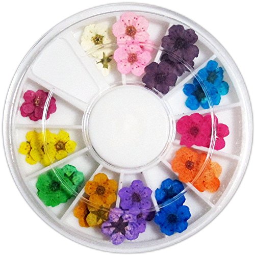 Acamifashion Manicure 12 бои 3D вистински сушени цвеќиња УВ гел акрилен нокти DIY ART совети декор - повеќебојни