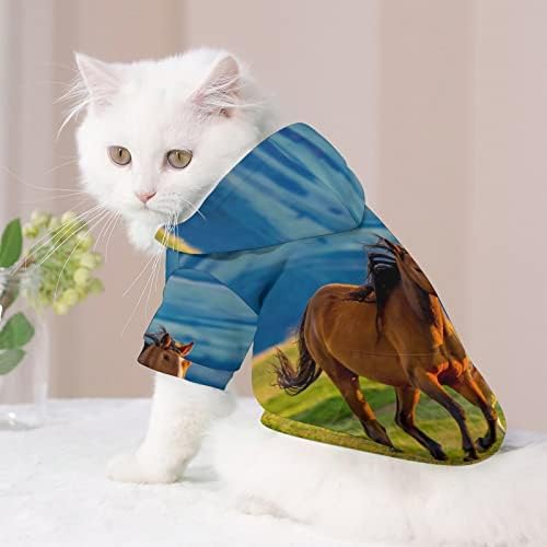 Коњска кобила и малку фокал кучиња качулка пуловер џемпер мека облека за миленичиња облечена со качулка од палто за кучиња мачка